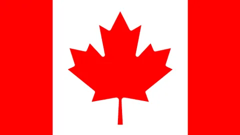 凯尔特人连胜6场以111-101击败猛龙，双星联手贡献43分，猛龙三分命中率仅15.2%。