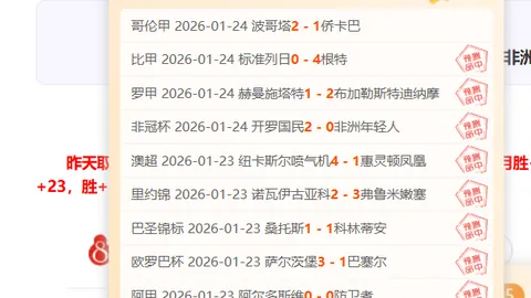 2022-2023赛季英超联赛第18轮精彩回顾